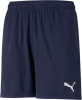 Puma teamRISE Training Sho. gyerek sort