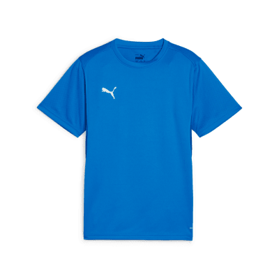 Puma teamGOAL Trainingsshirt
