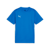 Puma teamGOAL Trainingsshirt