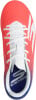 Skechers Youth FG Nockenfussballschuh D-Gr.
