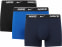 Blau/Schwarz