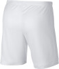 Nike Dri-FIT Academy férfi rövidnadrág