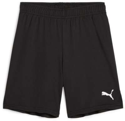 Puma teamGOAL Shorts