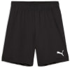 Puma teamGOAL Shorts
