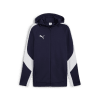 Puma teamEVOSTRIPE Hooded Trainingsjacke m.Kapuze