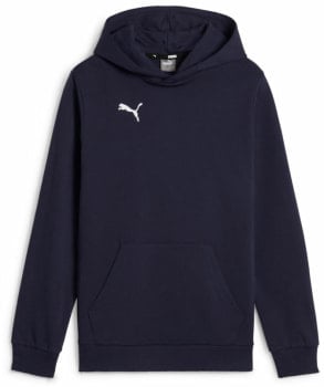 Puma teamGOAL Casuals Hoodie