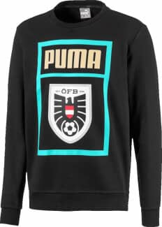 Österreich DNA  Sweater