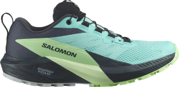 Salomon Sense Ride 5 GTX Traillaufschuhe
