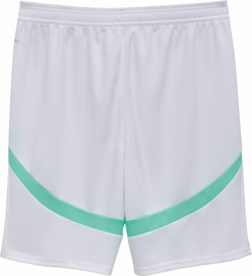 Puma ÖFB 2024 Fußballshorts Replica Puma ÖFB 2024 Fußballshorts Replica