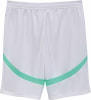 Puma ÖFB 2024 Fußballshorts Replica