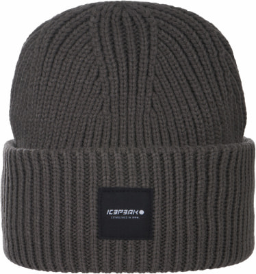 Icepeak Čepice Holladay XH
