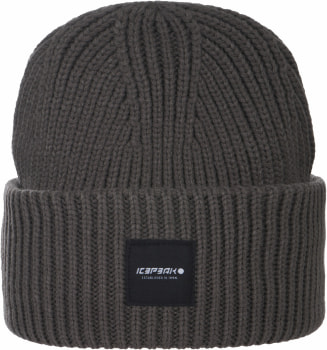 Icepeak Čepice Holladay XH