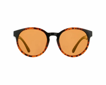 Red Bull Spect Eyewear Ever Sonnenbrille