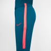 Nike Dri-FIT Academy férfi nadrág