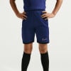 Nike Academy 25 7" Fussballshorts
