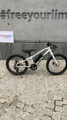 Ben-E-Bike Twenty E-Power