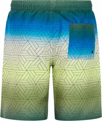 Protest PrtChopper Badeshorts Protest PrtChopper Badeshorts