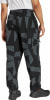 adidas Terrex Xploric Printed Wanderhose