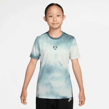 Nike Academy+ Fußballtrikot