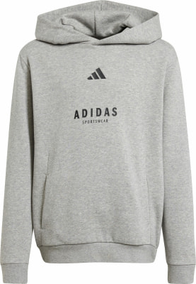 adidas ALL SZN Graphic Hoodie
