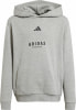 adidas ALL SZN Graphic Hoodie