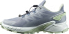 Salomon Supercross 4 GTX Traillaufschuhe