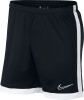 Nike Dri-FIT Academy férfi rövidnadrág