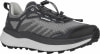 Lowa Fortux GTX WS Laufschuhe