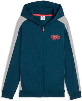 Puma Active Sports Full-Zip Sweatjacke mit Kapuze