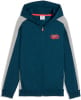 Puma Active Sports Full-Zip Sweatjacke mit Kapuze