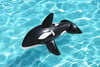Bestway Whale Ride - On Aufblast. Wal