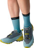 Dynafit Transalper 2 GTX Traillaufschuhe