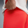 Puma FC Red Bull Salzburg 25/26 Shorts