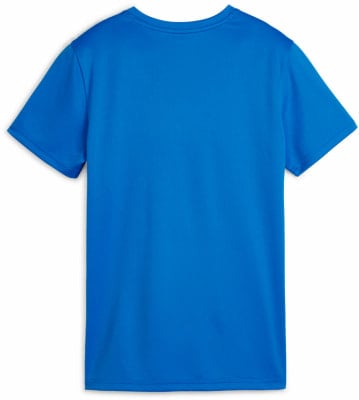 Puma teamGOAL Trainingsshirt Puma teamGOAL Trainingsshirt