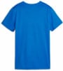 Puma teamGOAL Trainingsshirt