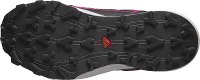 Salomon Thundercross GTX Traillaufschuhe