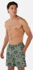 Barts Pego Shorts Badeshort
