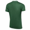 Grünes Poloshirt mit weißer Paspel am Kragen und an den Seiten.