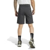 adidas Terrex Xperior Mid Wandershorts
