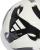 adidas Tiro Club focilabda
