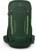 Osprey Hikelite Tour 32 Wanderrucksack