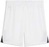 Puma teamLIGA26 Shorts Short 100%PES, dryCELL