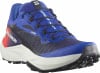 Salomon Genesis Equipe Laufschuhe