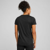 Puma Tad Essential Heather T-Shirt