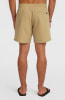 O'Neill Cali Swim Badeshorts