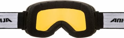 Alpina Slope Q-Lite Skibrille