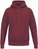 Erima TS Hoodie