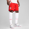 Puma FC Red Bull Salzburg 24/25 Shorts