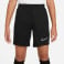 Academy 21 Trainingsshorts