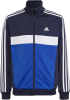 adidas Essentials 3-Streifen Tiberio Trainingsanzug